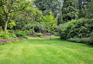 Optimiser l'expérience du jardin à Rouffach